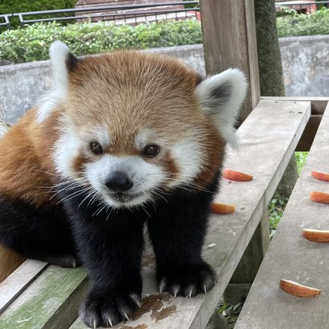 キラのプロフィール写真