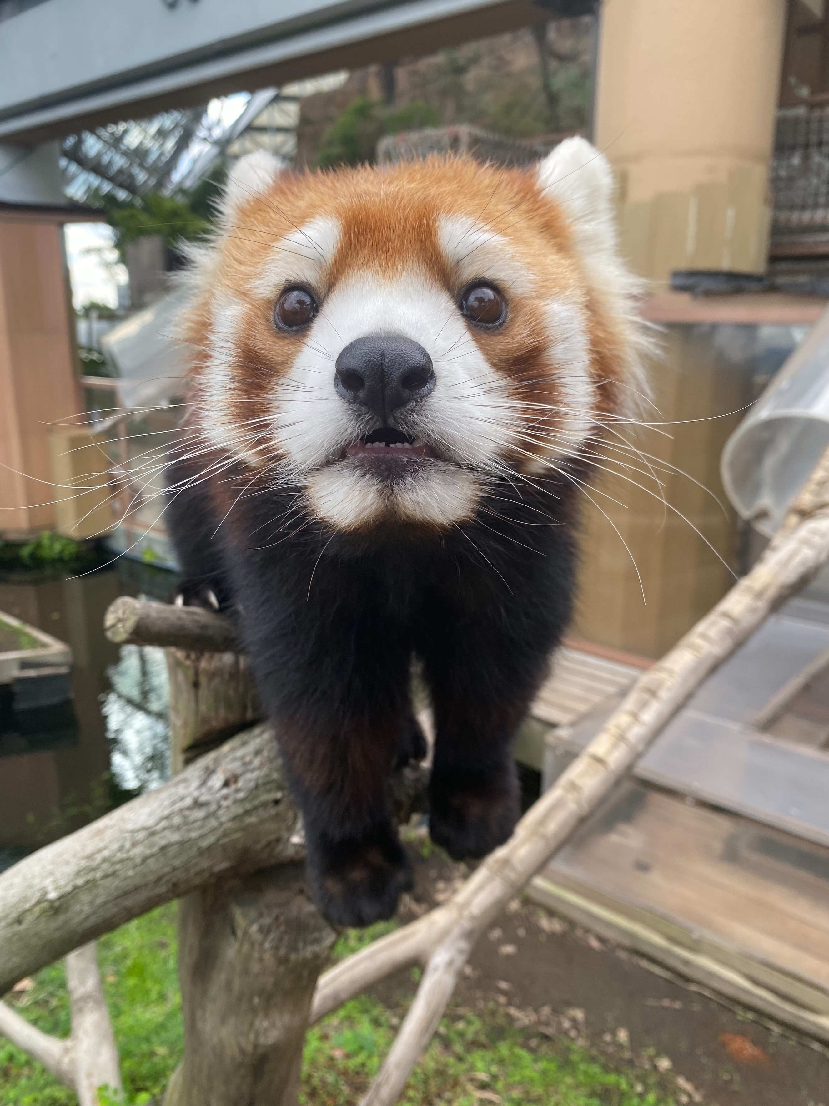 來海のプロフィール写真