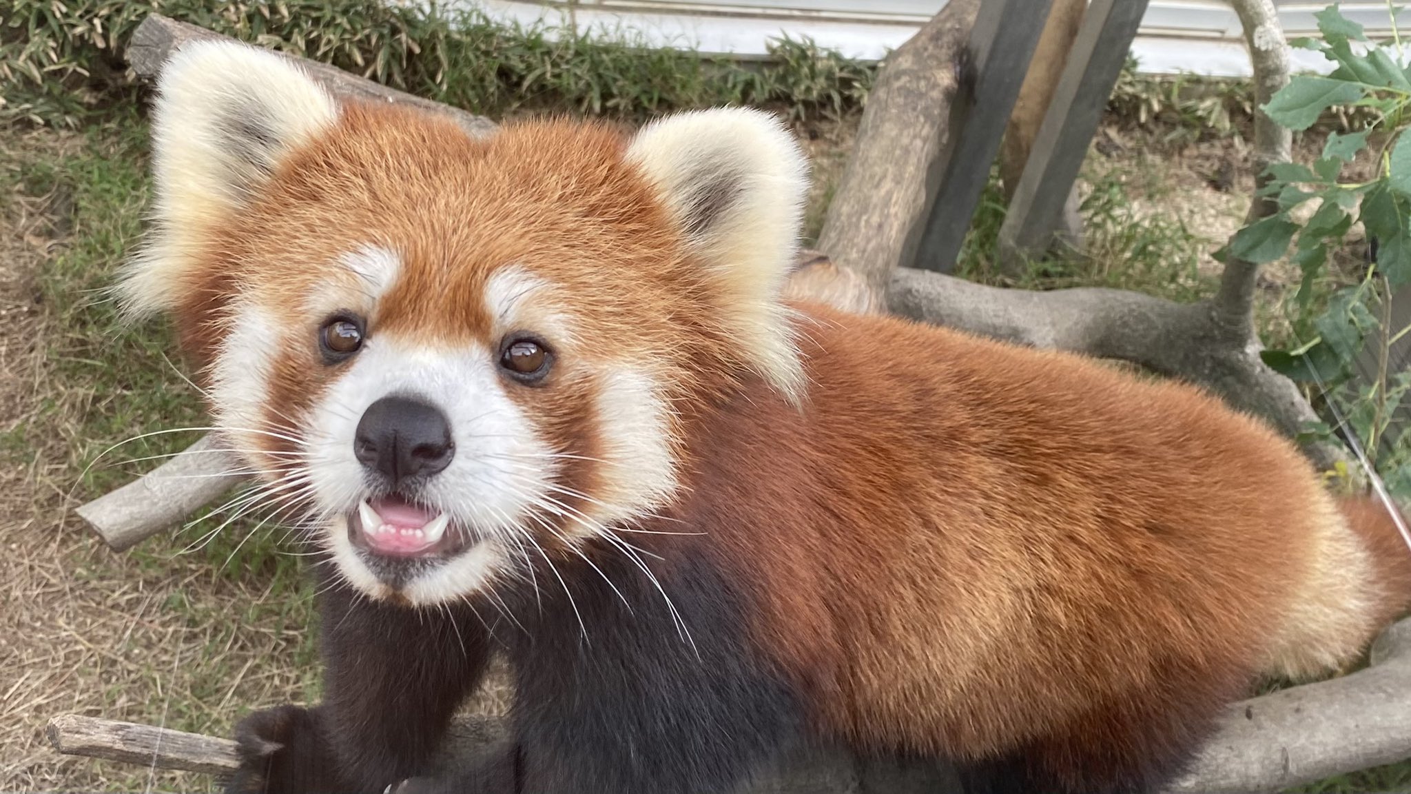 ルールーのプロフィール写真