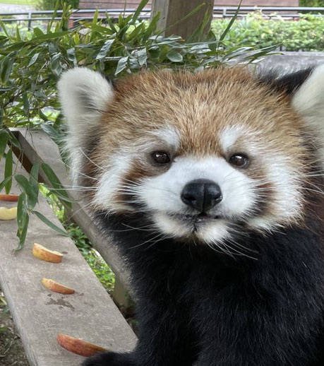 マルのプロフィール写真