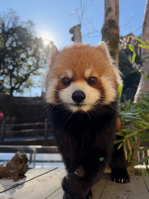 メロディのプロフィール写真