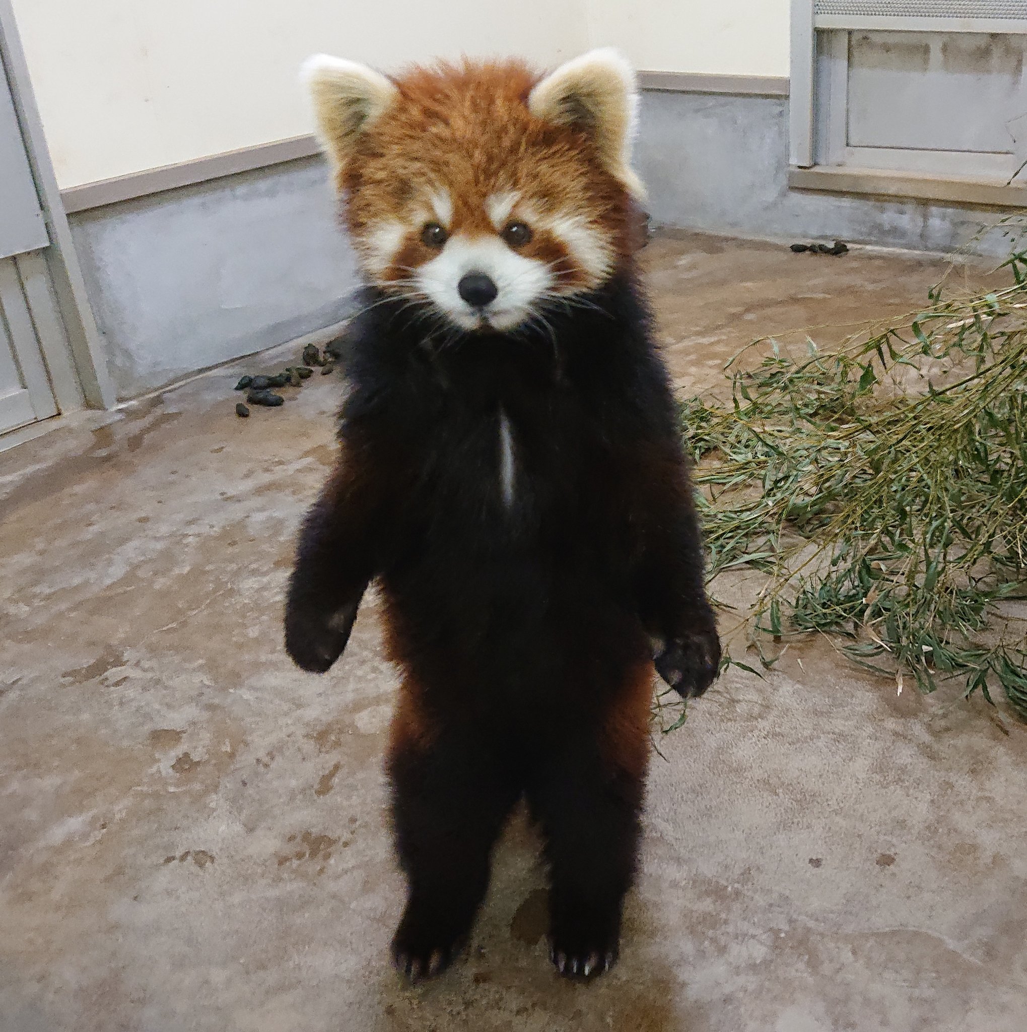 みいのプロフィール写真