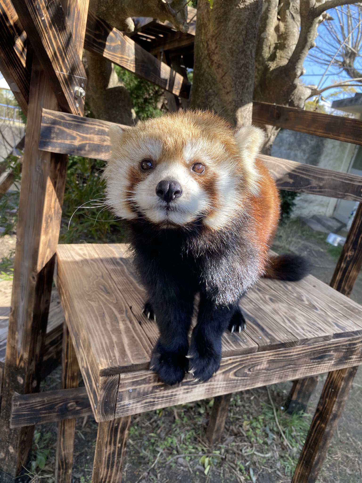 ミカンのプロフィール写真