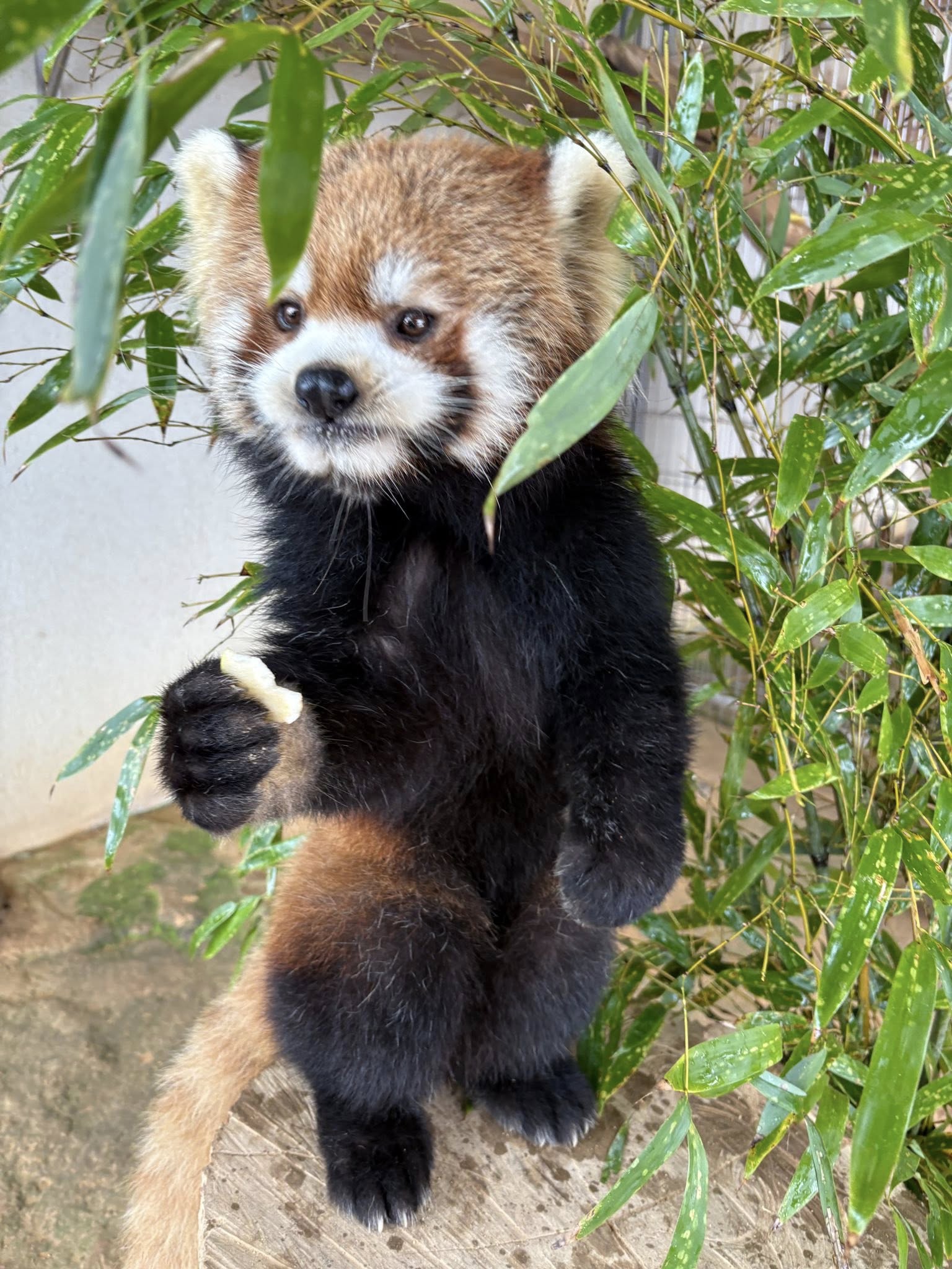 モッチーのプロフィール写真