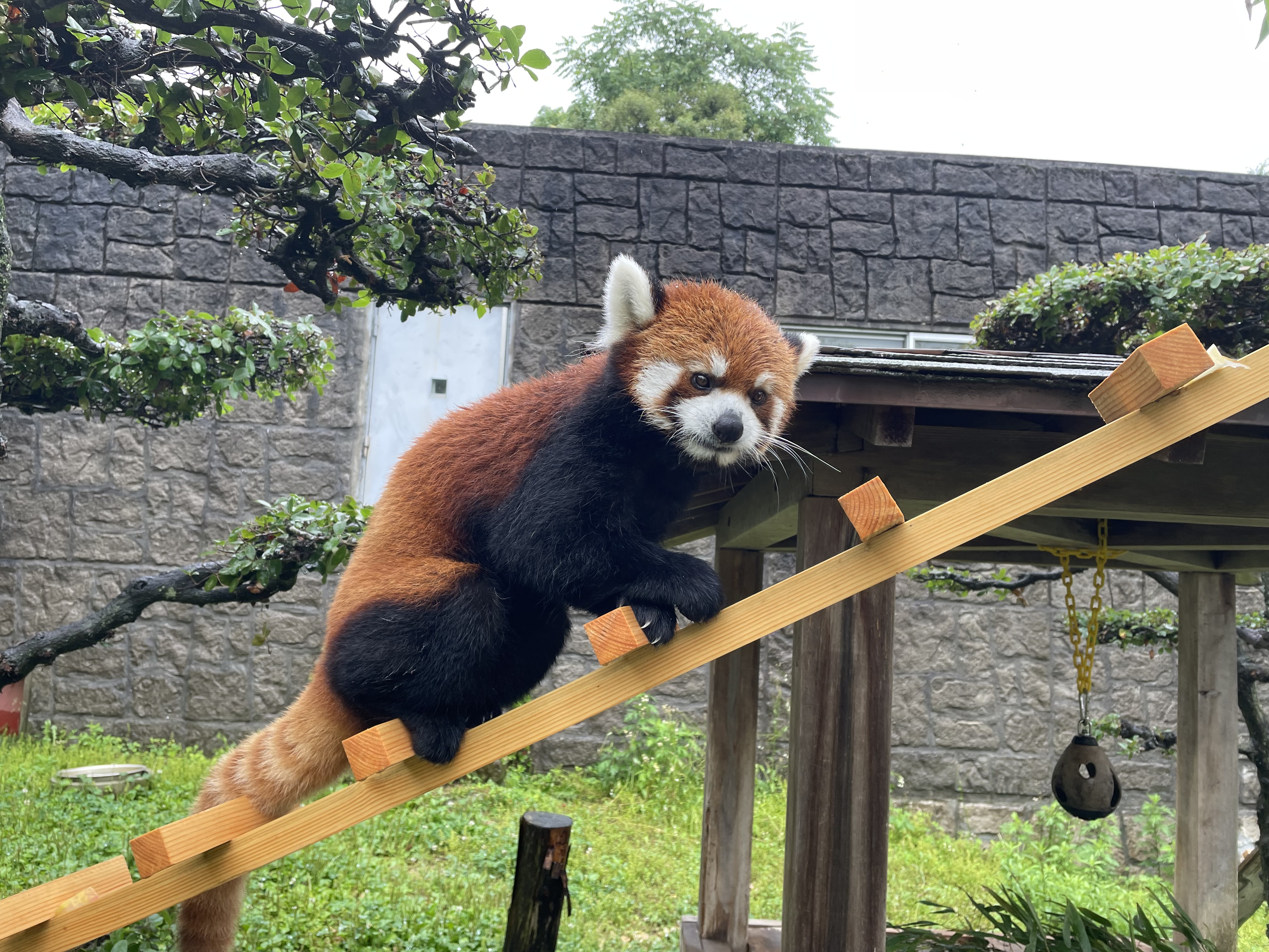 プルプルのプロフィール写真