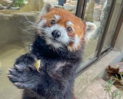 栄栄のプロフィール写真