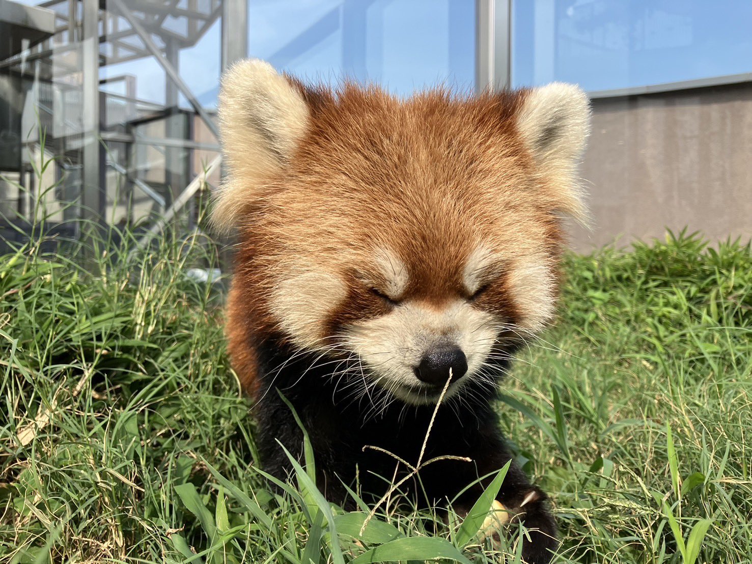 ルナのプロフィール写真