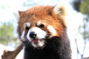 シーのプロフィール写真