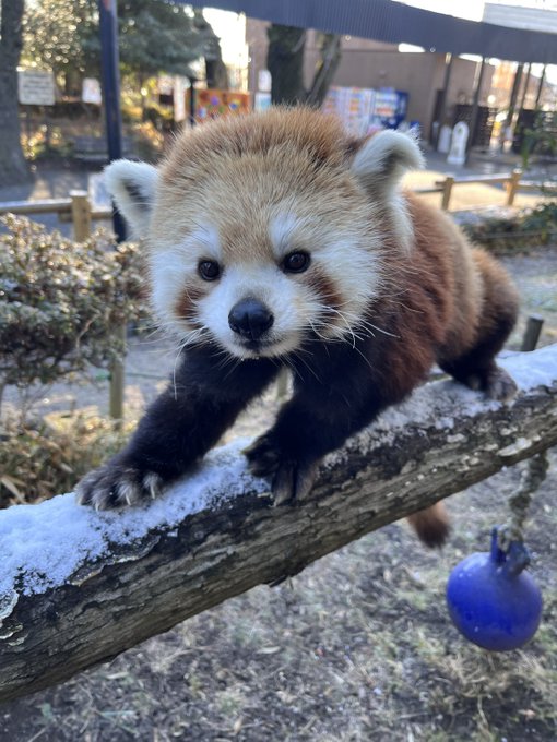ソラのプロフィール写真