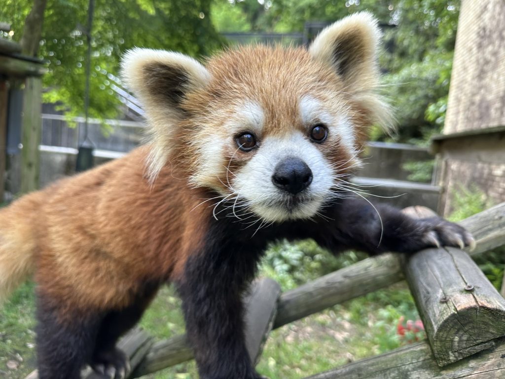 スバルのプロフィール写真