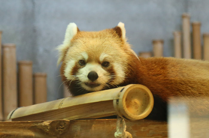 サンのプロフィール写真
