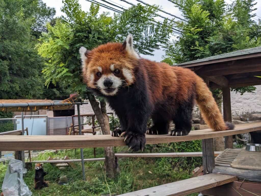 シュウナのプロフィール写真