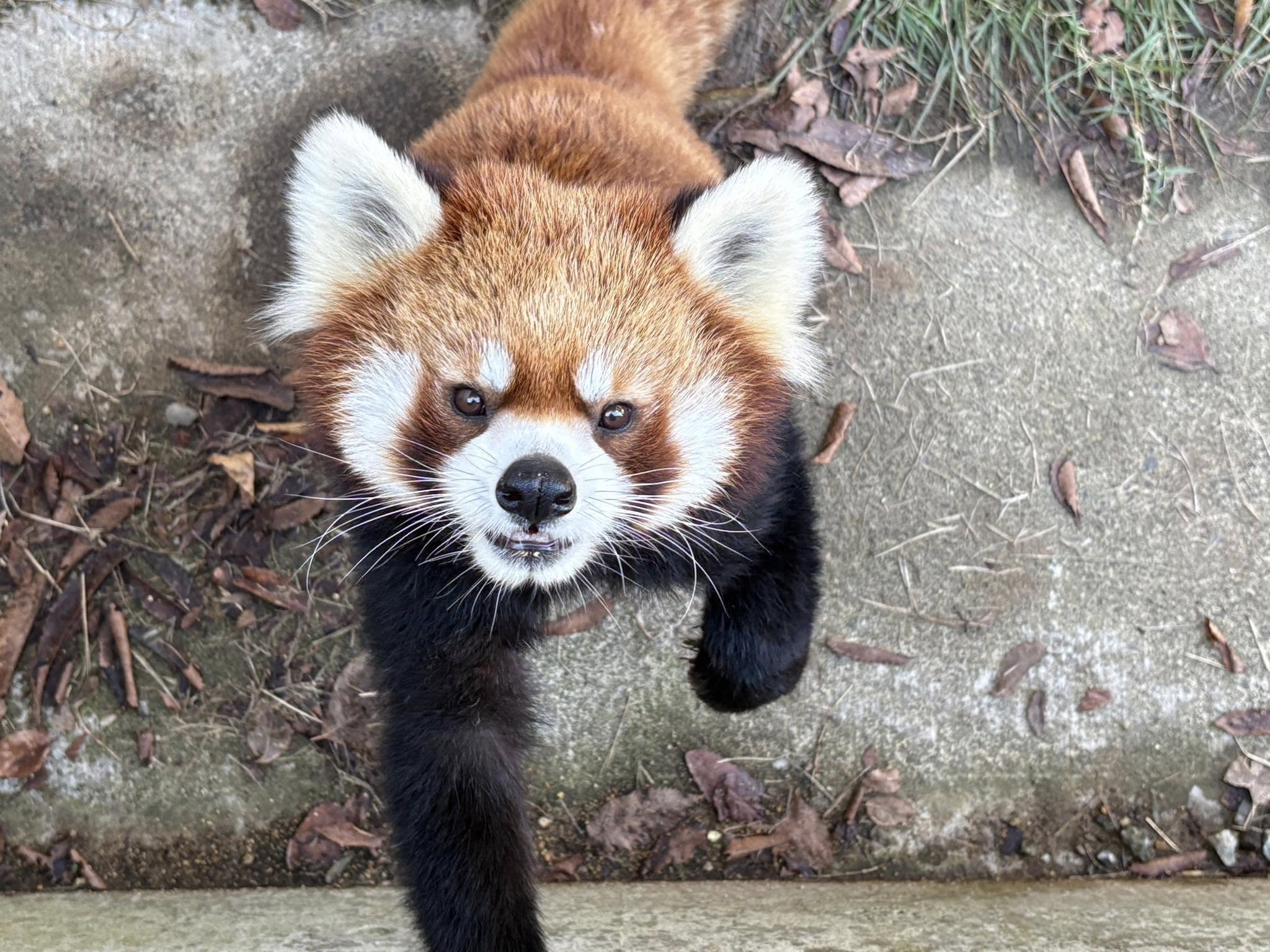 たいようのプロフィール写真