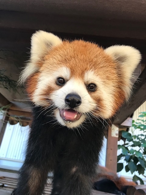 テマリのプロフィール写真
