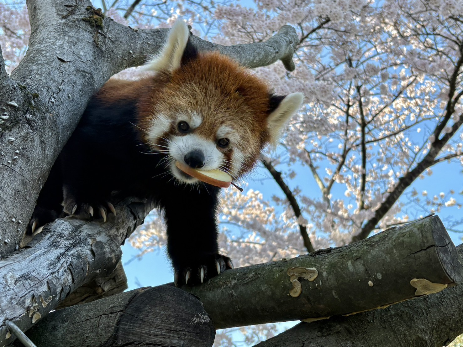 ティエンのプロフィール写真