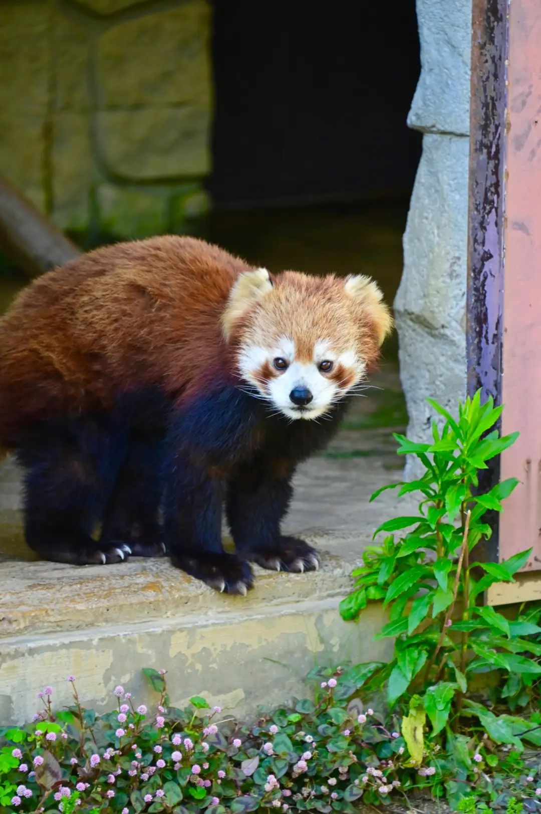砥々丸のプロフィール写真