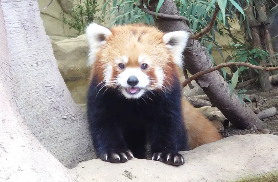 与一のプロフィール写真