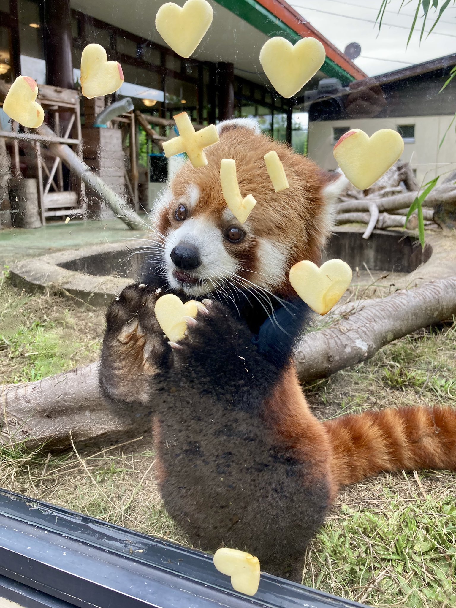 耀のプロフィール写真