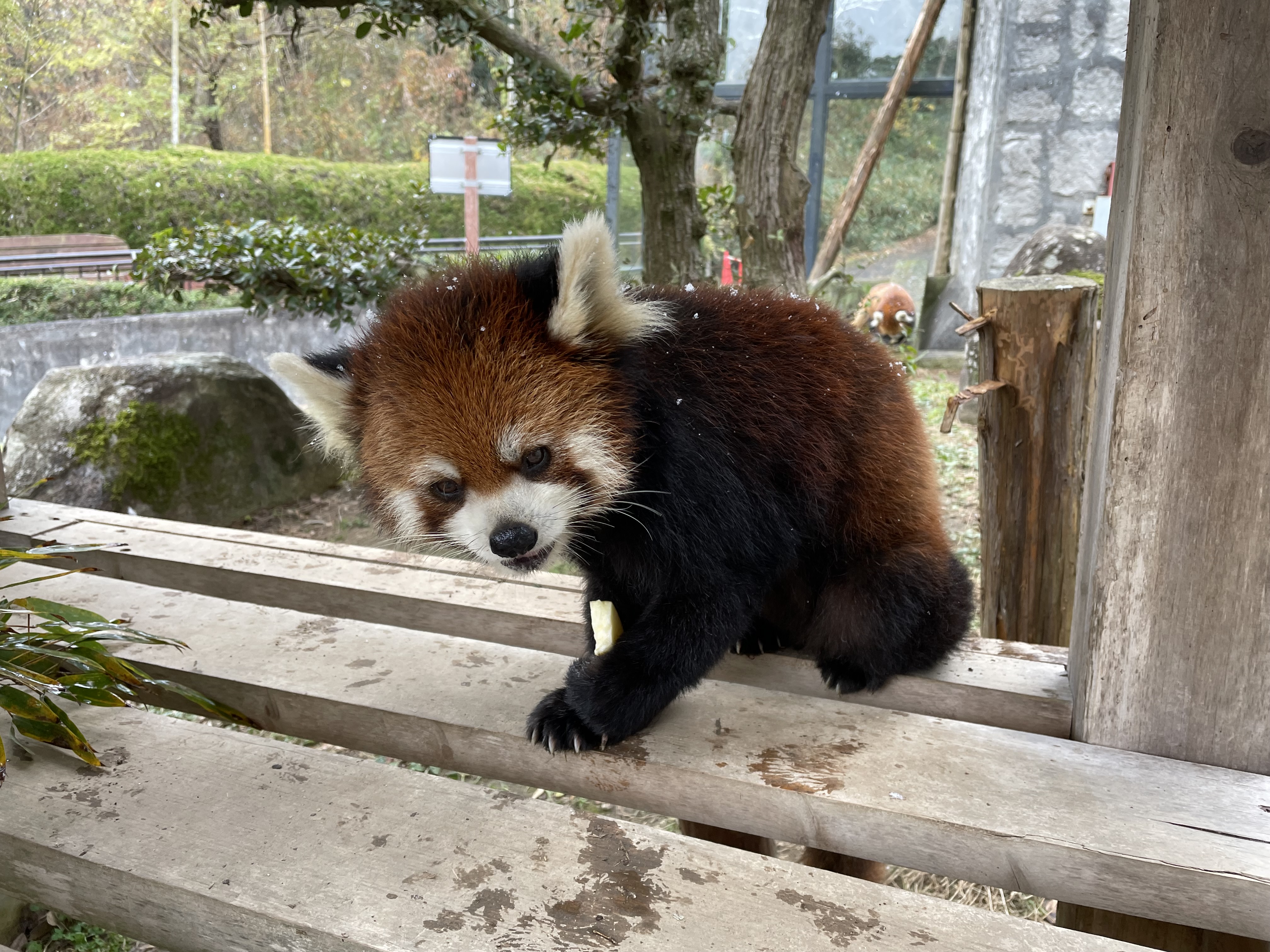友友のプロフィール写真