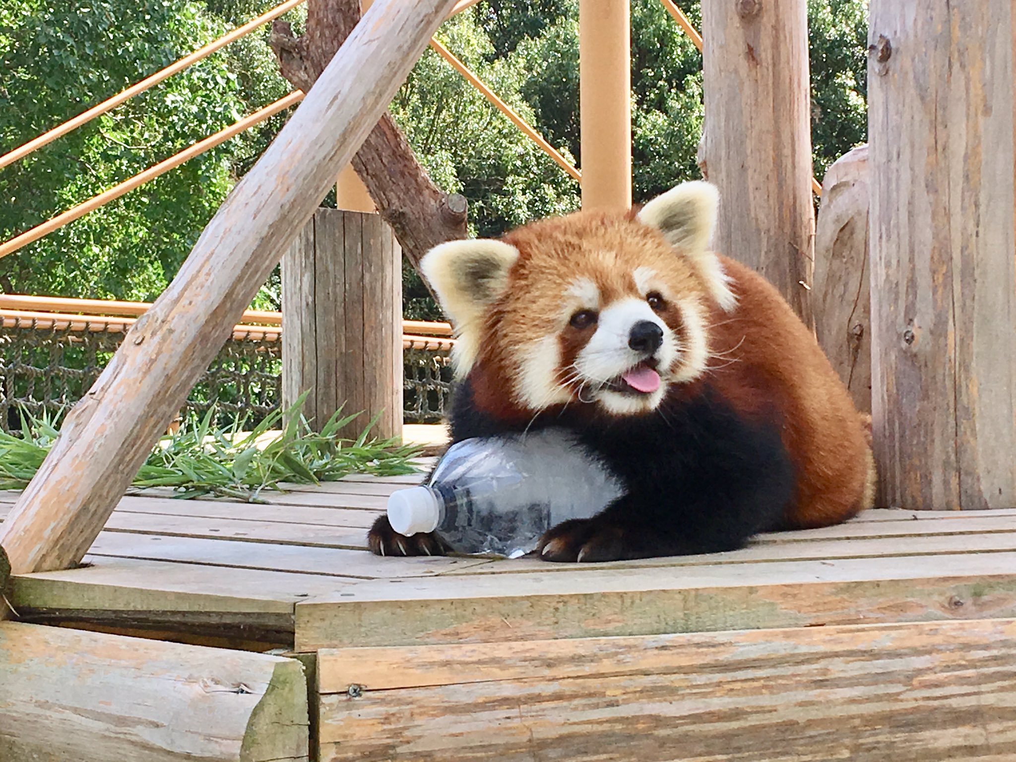 優香のプロフィール写真
