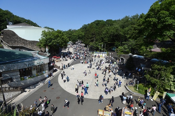 多摩動物公園のメイン画像