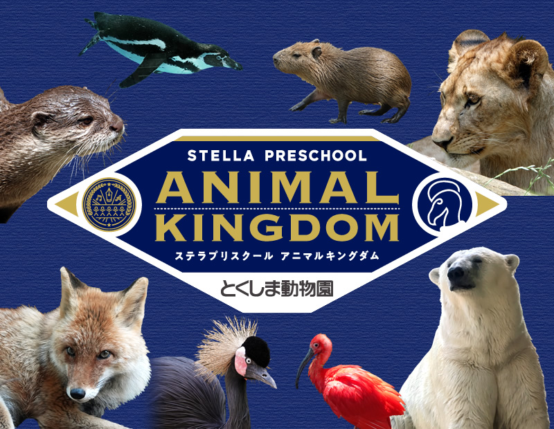 とくしま動物園のメイン画像